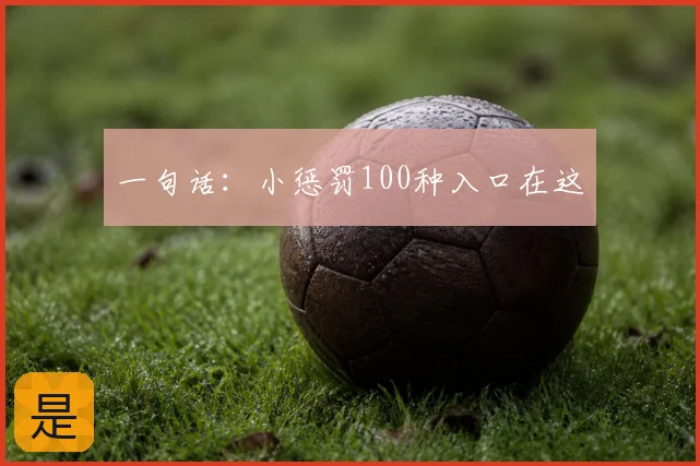 一句话：小惩罚100种入口在这