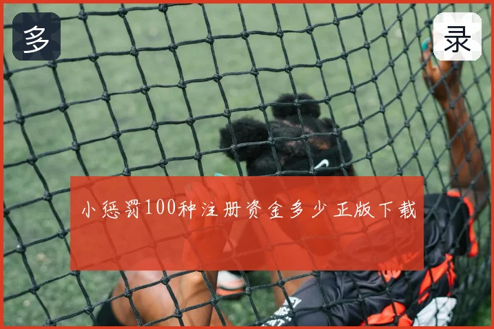 小惩罚100种注册资金多少正版下载